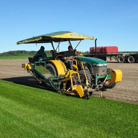 Windmill Turf Farm